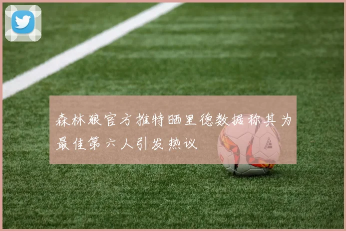 森林狼官方推特晒里德数据称其为最佳第六人引发热议