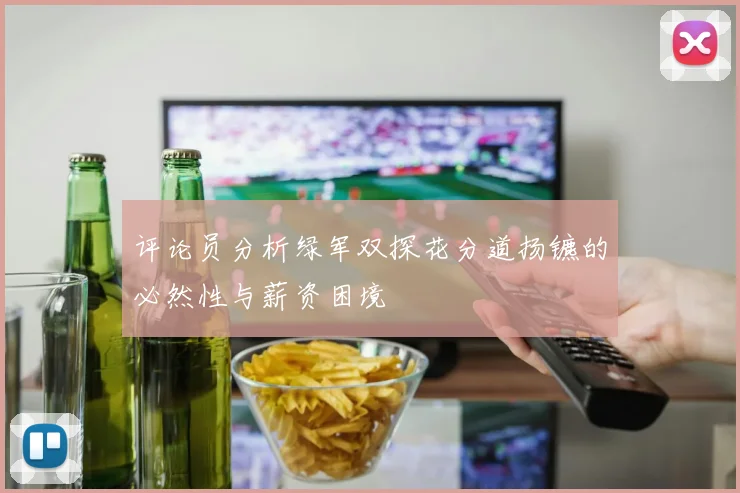 评论员分析绿军双探花分道扬镳的必然性与薪资困境