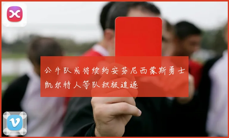 公牛队或将续约安芬尼西蒙斯勇士凯尔特人等队积极追逐