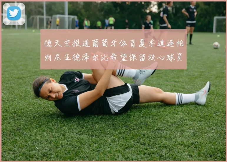 德天空报道葡萄牙体育夏季追逐帕利尼亚德泽尔比希望保留核心球员