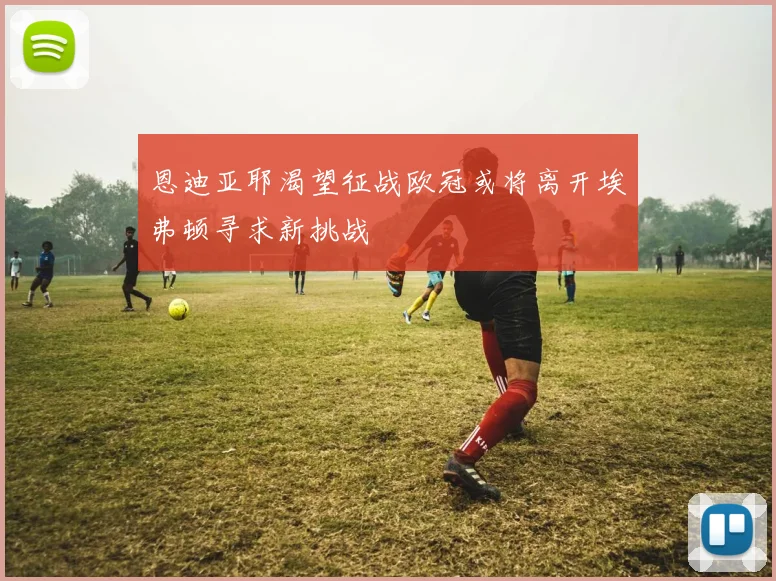 恩迪亚耶渴望征战欧冠或将离开埃弗顿寻求新挑战