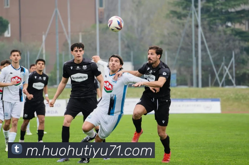 火狐体育APP 封面图